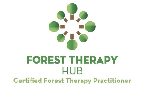 Certification Praticien en thérapie forestière